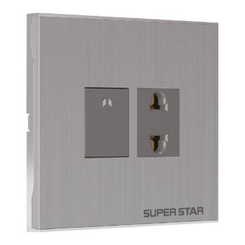 Silver Line Two Pin Socket With Switch